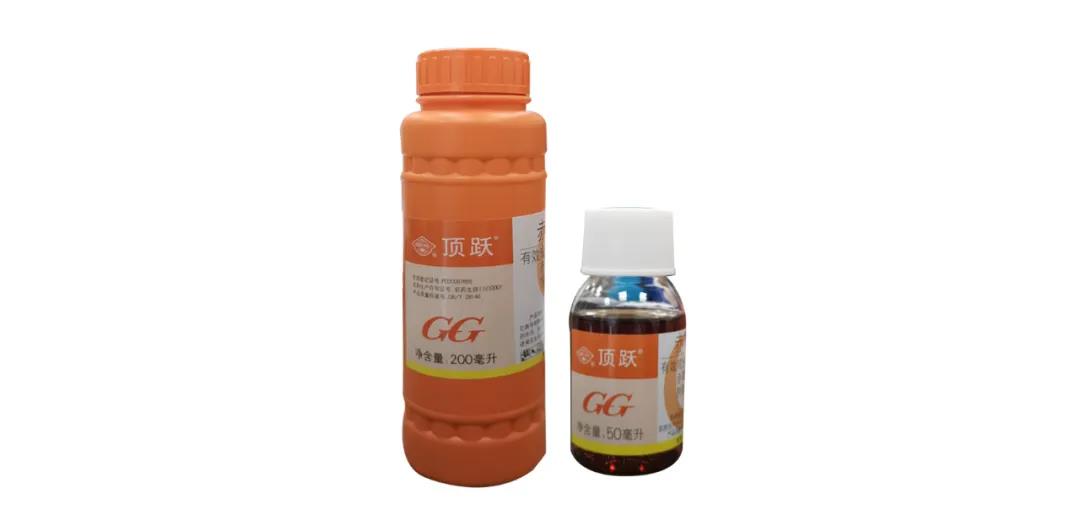 月季保姆级配药教程,多种病虫害一次搞定 月季保姆级配药教程,多种病虫害一次搞定
