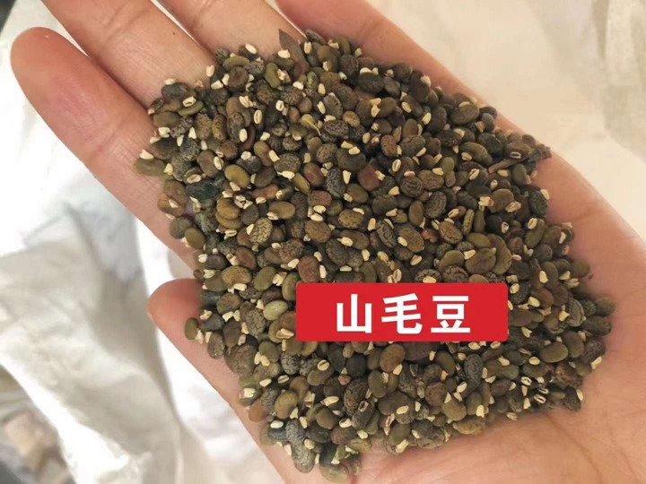 常用的护坡灌木种子有哪些? 常用的护坡灌木种子有哪些?
