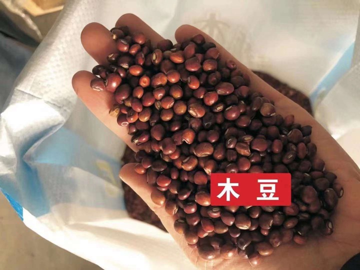 常用的护坡灌木种子有哪些? 常用的护坡灌木种子有哪些?