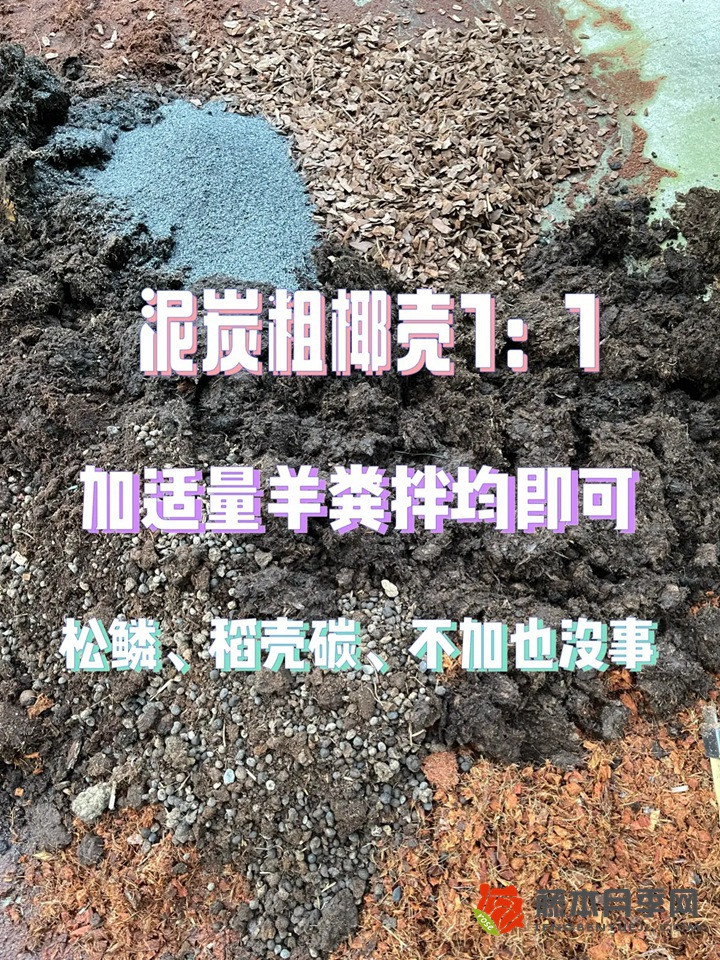 关于刚入月季和家庭花卉坑的配土问题 关于刚入月季和家庭花卉坑的配土问题