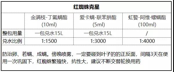 月季病虫害防治与用药大全 月季病虫害防治与用药大全