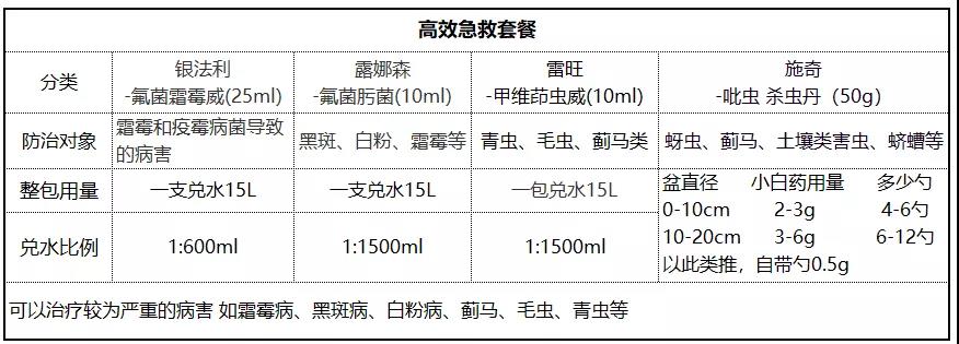 月季病虫害防治与用药大全 月季病虫害防治与用药大全