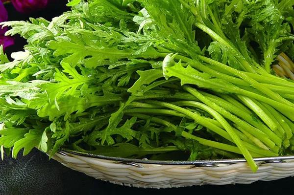 秋季播种春季开花的草花品种推荐 秋季播种春季开花的草花品种推荐