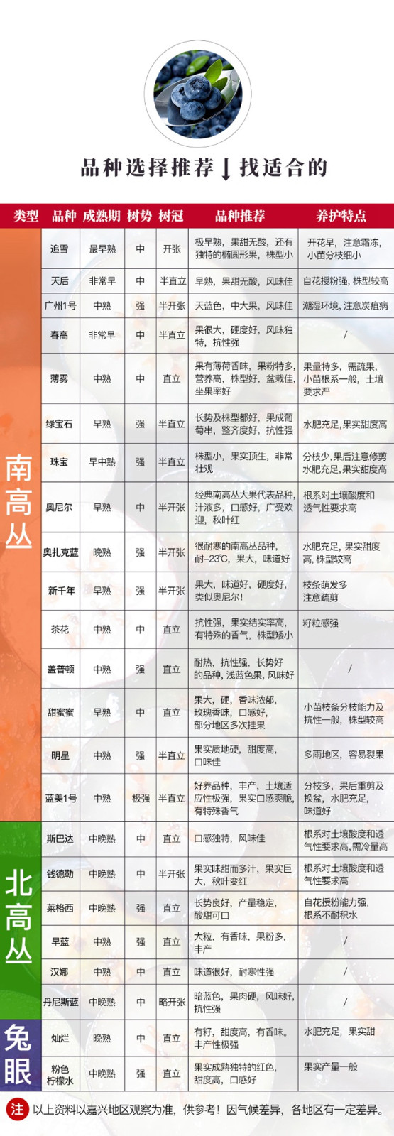 蓝莓品种有哪些,蓝莓品种如何选择? 蓝莓品种有哪些,蓝莓品种如何选择?