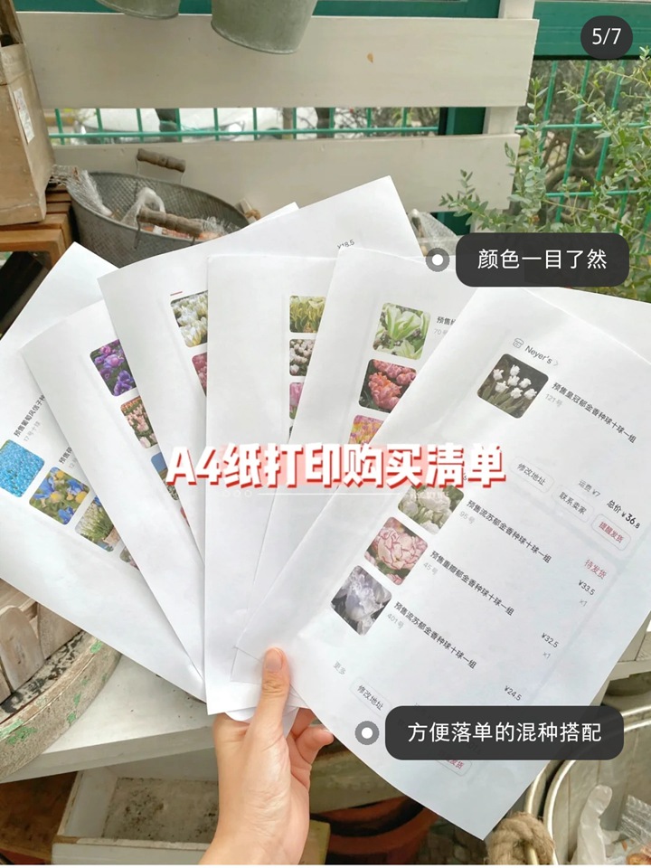 郁金香种植方法与技巧(多图详解) 郁金香种植方法与技巧(多图详解)
