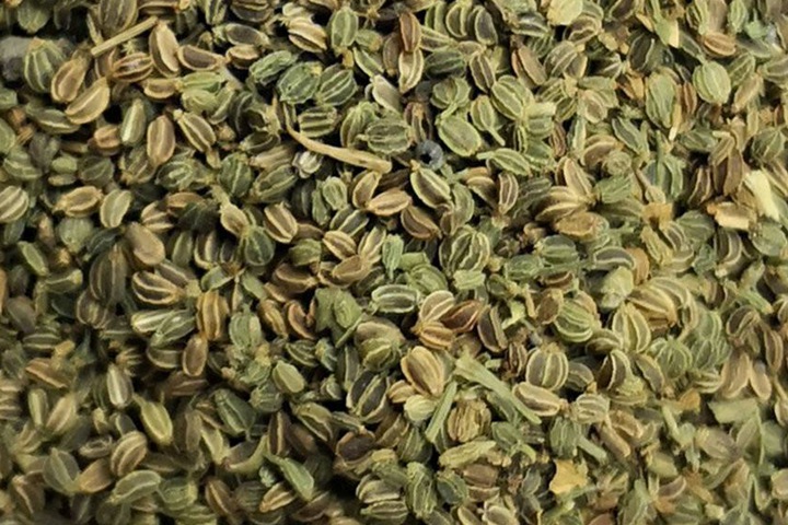 芹菜种子 芹菜种子