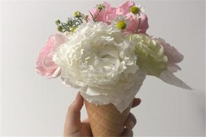 伊芙白雪公主月季的优缺点
