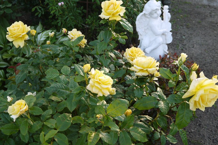 黄色永恒Yellow Eternity 黄色永恒Yellow Eternity