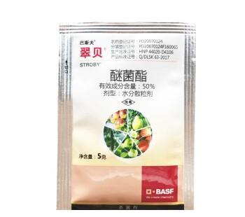 月季初春病害多,防治教程都在此。想要春暖花开,教你搞定病害
