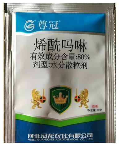 月季初春病害多,防治教程都在此。想要春暖花开,教你搞定病害
