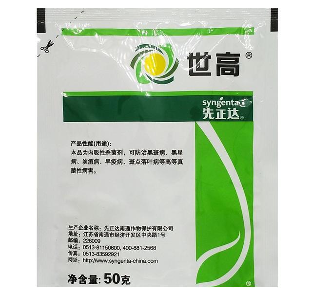 月季初春病害多,防治教程都在此。想要春暖花开,教你搞定病害