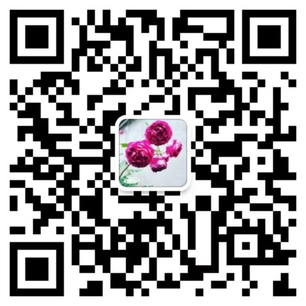 1651210799708894.jpg 编辑分享月季种植经验