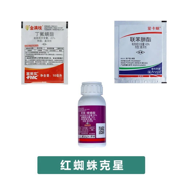 夏季红蜘蛛预防措施(月季红蜘蛛用什么药防治最好) 夏季红蜘蛛预防措施(月季红蜘蛛用什么药防治最好)