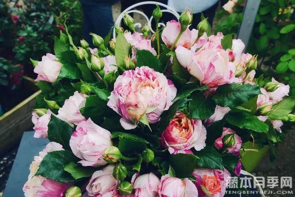朱莉·昂德里厄Julie Andrieu 朱莉·昂德里厄Julie Andrieu