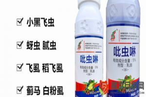 月季花有通用杀虫剂吗