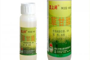 草甘膦对月季有害吗