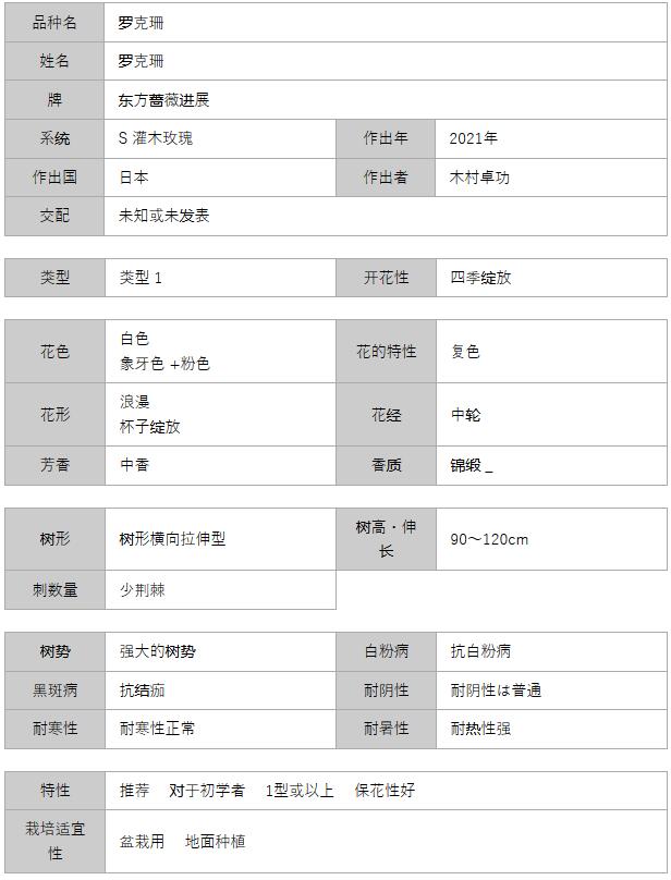 罗克珊月季的优缺点 罗克珊月季的优缺点分析