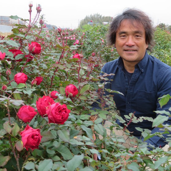 蕾(木村卓功) 蕾(木村卓功)