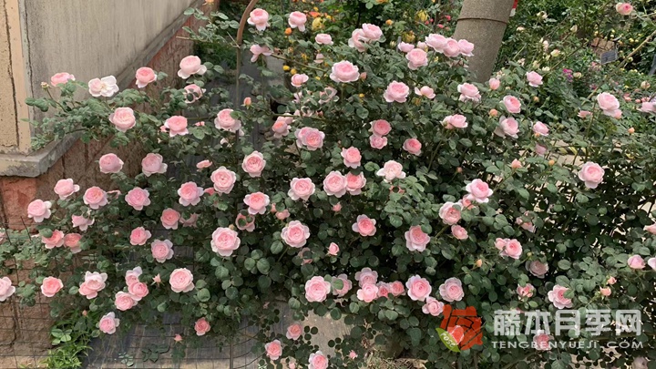 1655164920512136.jpg 微信图片_20220614080115.jpg