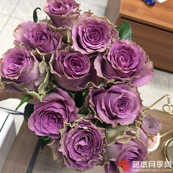 42号公路/特洛伊 42号公路/特洛伊
