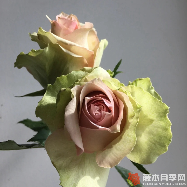 梦境 梦境
