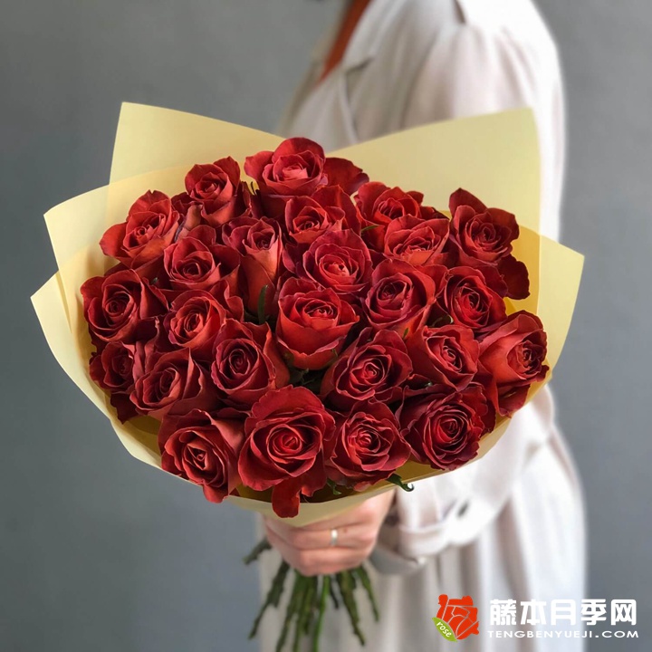 咖啡德玛/咖啡厅月季 咖啡德玛/咖啡厅月季