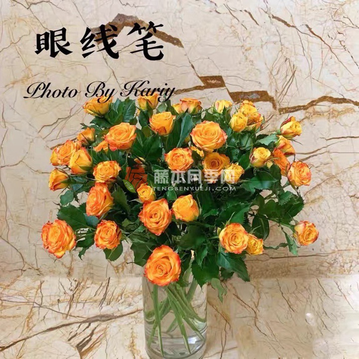 眼线笔泡泡 眼线笔泡泡