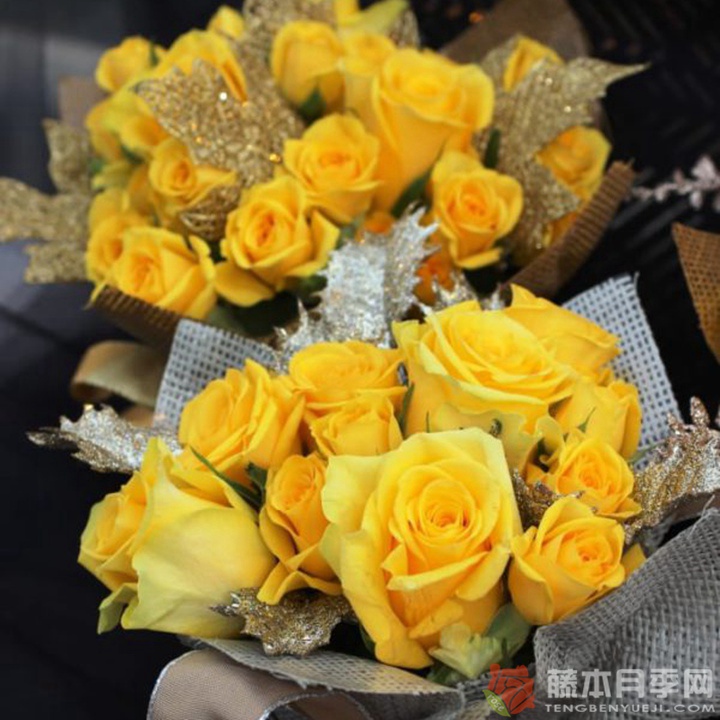 月球漫步月季 月球漫步月季