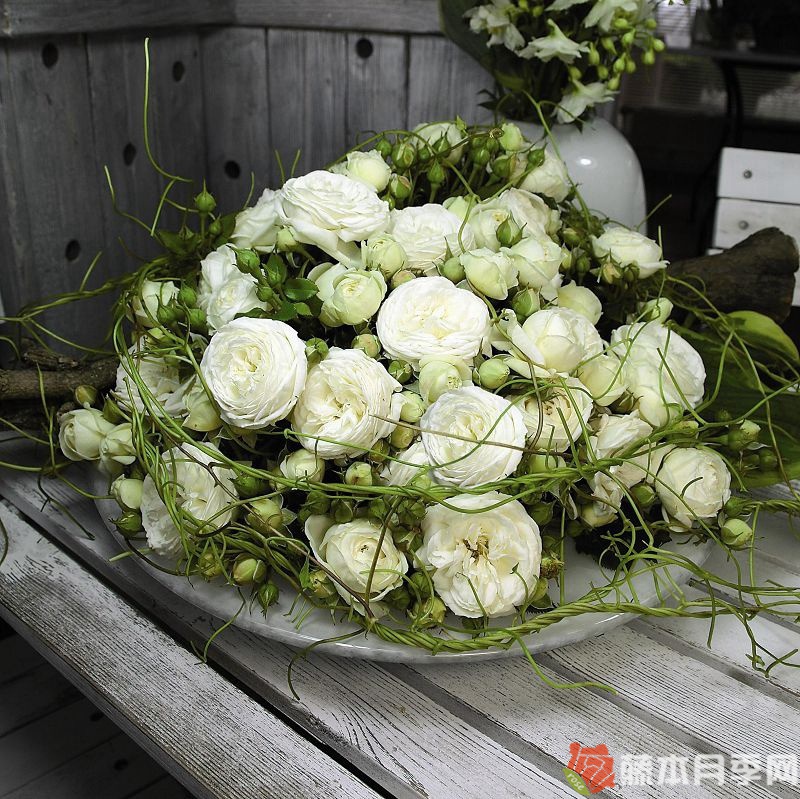 月亮女神/阿耳特弥斯 月亮女神/阿耳特弥斯
