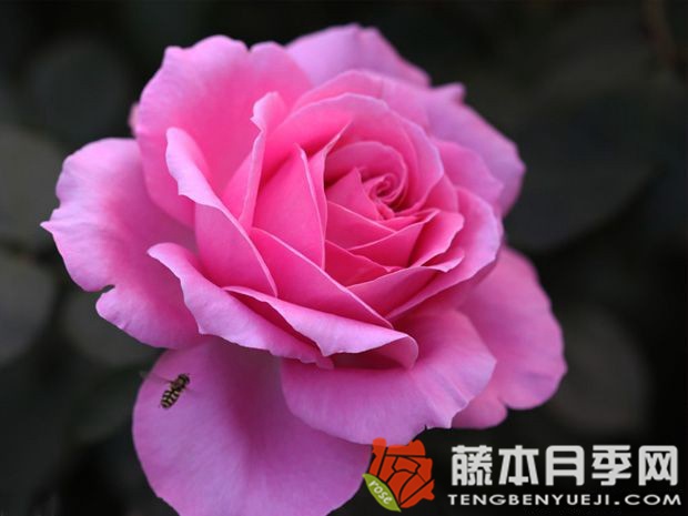 1659531857462470.jpg c0210768-c10e-45d9-876c-3065160f980f_.jpg