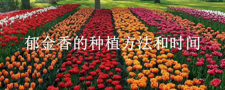 1659747433436044.jpeg 4dbcfac02457d2709e584af9fca7bc84.jpeg