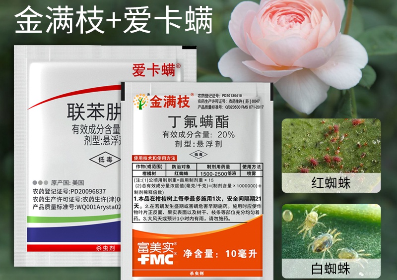 月季花种植常备药有哪些(建议收藏) 月季花种植常备药有哪些(建议收藏)