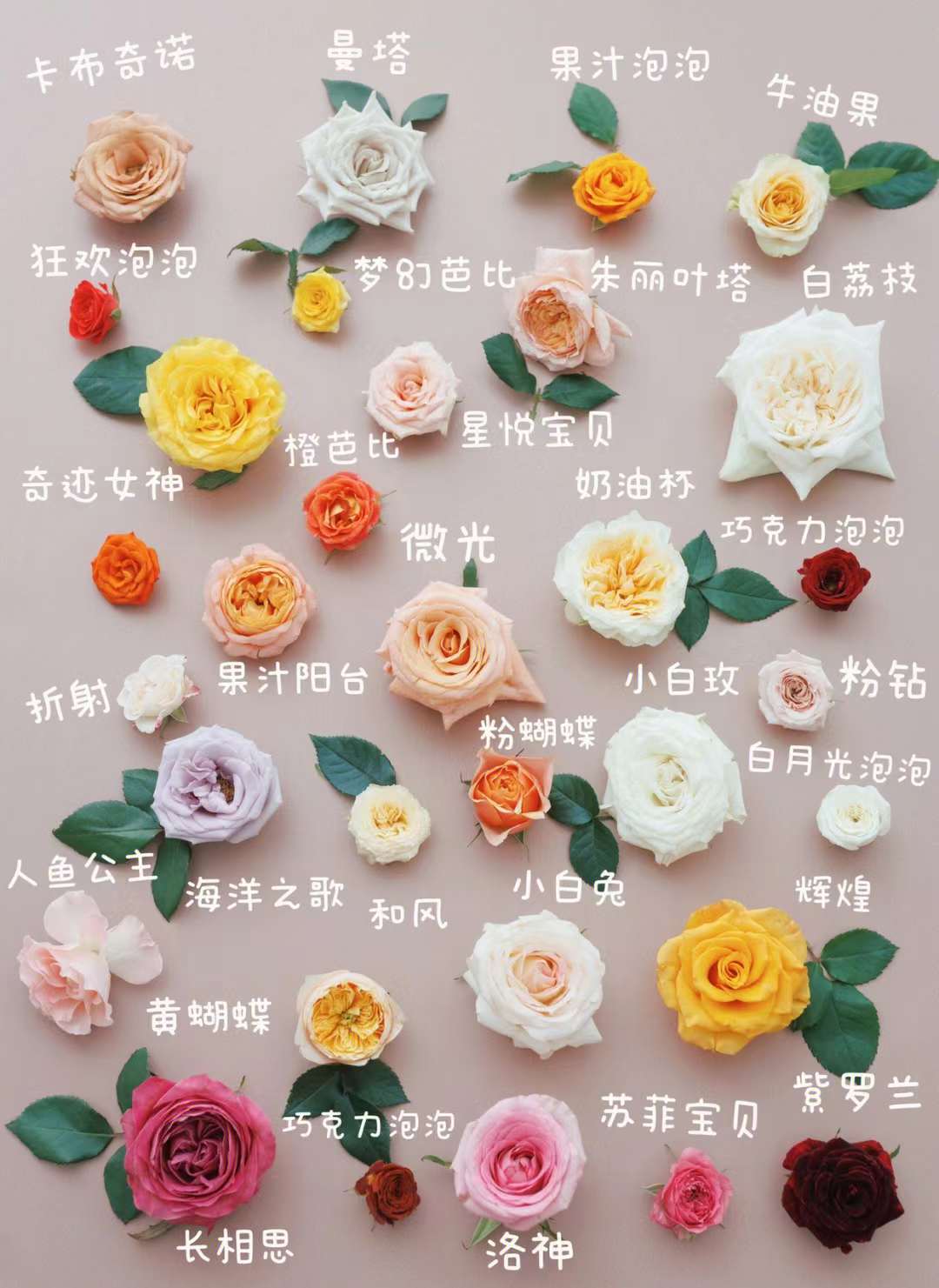 1663719165884457.jpg