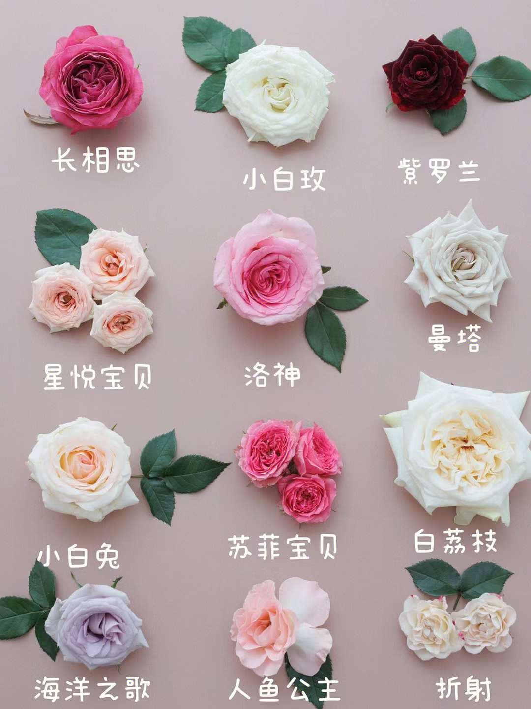 1663719165892197.jpg