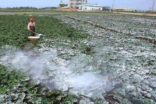 生石灰怎么改善土壤 生石灰怎么改善土壤
