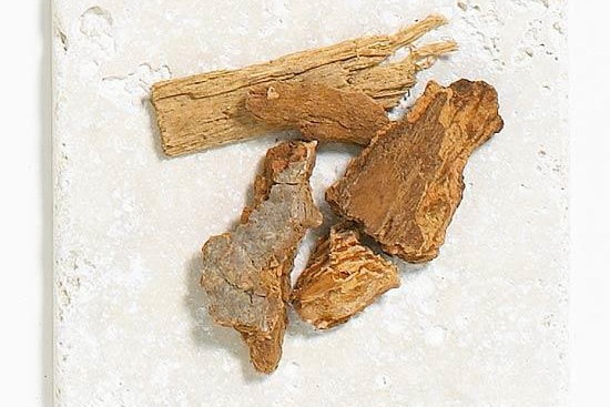 养花覆盖物有哪些,有什么好处? 养花覆盖物有哪些,有什么好处?