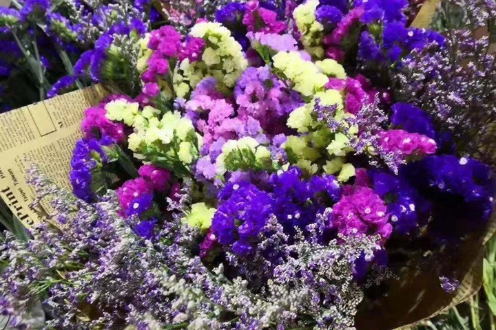 勿忘我的花语是什么(勿忘我花期有多长) 勿忘我的花语是什么(勿忘我花期有多长)