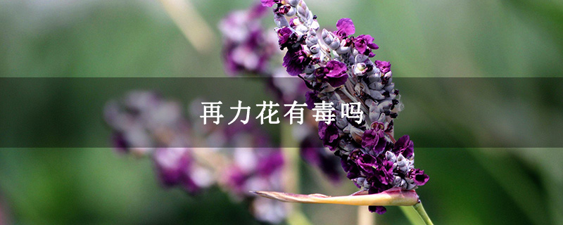 再力花有毒性吗,可不可以食用 再力花有毒吗,可不可以食用