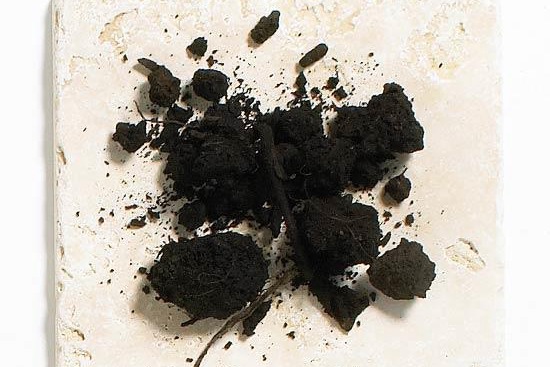 养花覆盖物有哪些,有什么好处? 养花覆盖物有哪些,有什么好处?