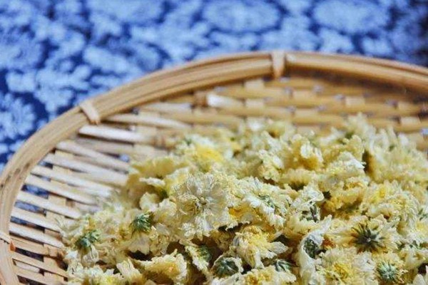 野菊花可以直接泡水喝吗 野菊花可以直接泡水喝吗