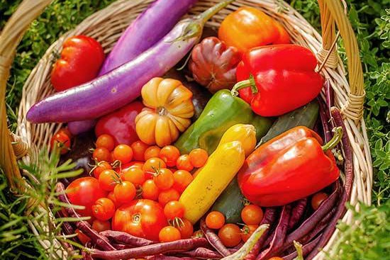 蔬菜种植最容易犯的十个错误! 蔬菜种植最容易犯的十个错误!
