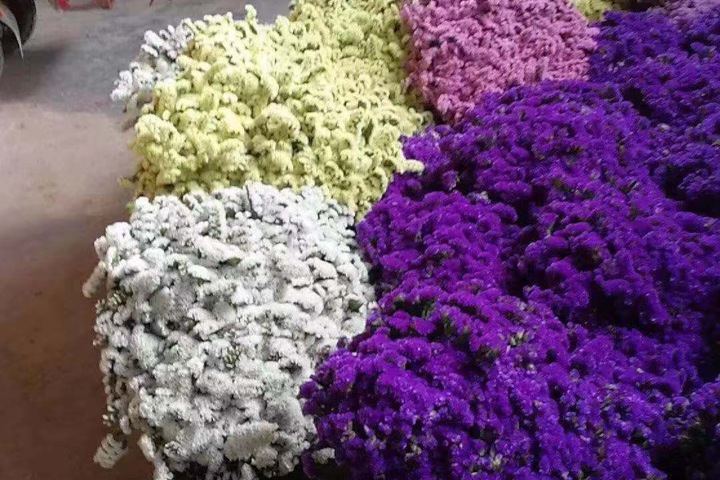 勿忘我的花语是什么(勿忘我花期有多长) 勿忘我的花语是什么(勿忘我花期有多长)