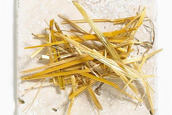养花覆盖物有哪些,有什么好处? 养花覆盖物有哪些,有什么好处?