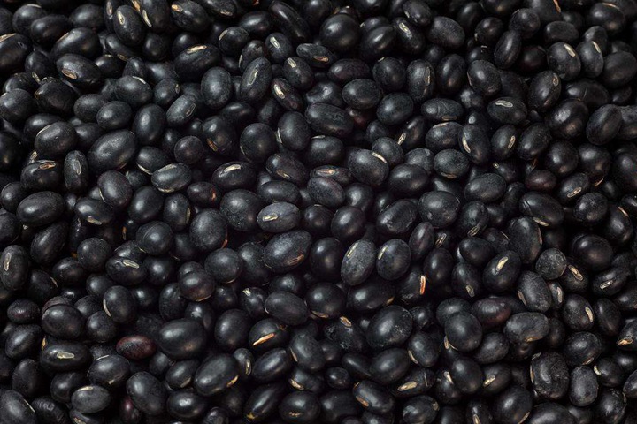 黑豆种子什么时候播种最好,种后多久收 黑豆种子什么时候播种最好