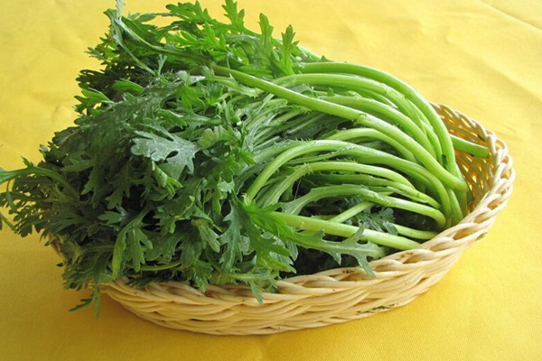 茼蒿什么时间种植好 茼蒿什么时间种植好