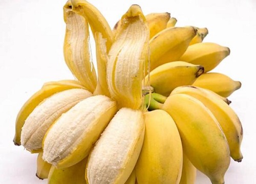 香蕉皮可以用来养月季吗? 香蕉皮可以用来养月季吗?