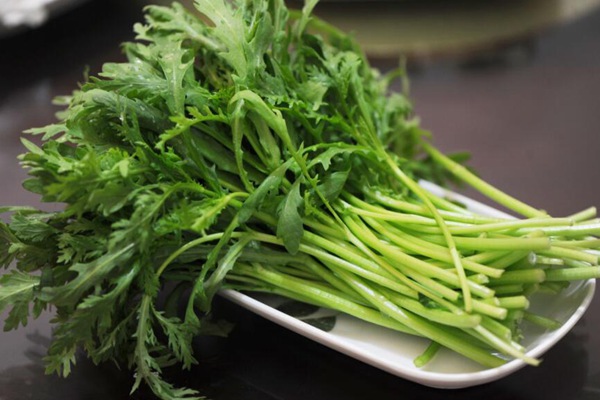茼蒿什么时间种植好 茼蒿什么时间种植好