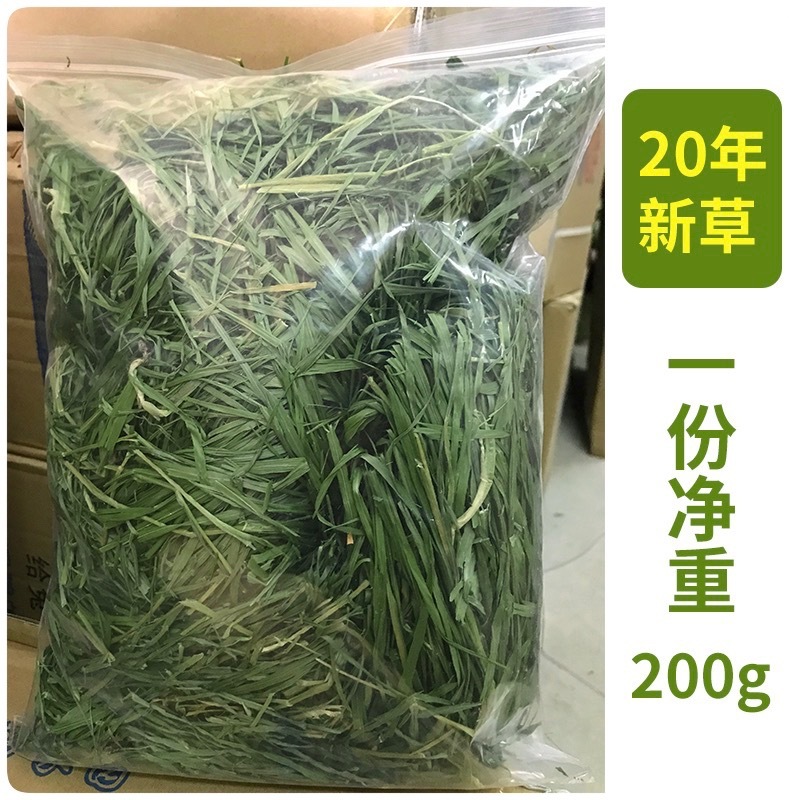 兔子吃什么草最有营养长得快