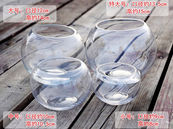 如何在玻璃瓶中种植郁金香 玻璃瓶水培郁金香怎么种