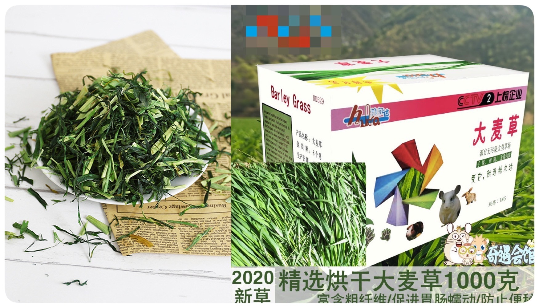 兔子吃什么草最有营养长得快